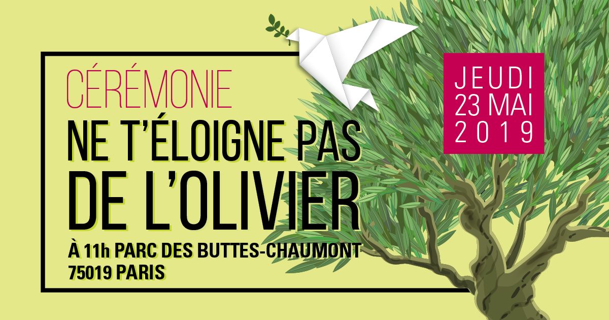 Résumé Du Livre Ne T'éloigne Pas NE T'ÉLOIGNE PAS DE L'OLIVIER